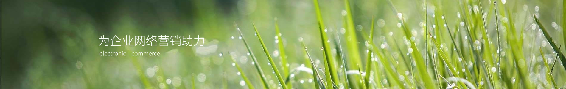 ݲǻƼ޹˾
